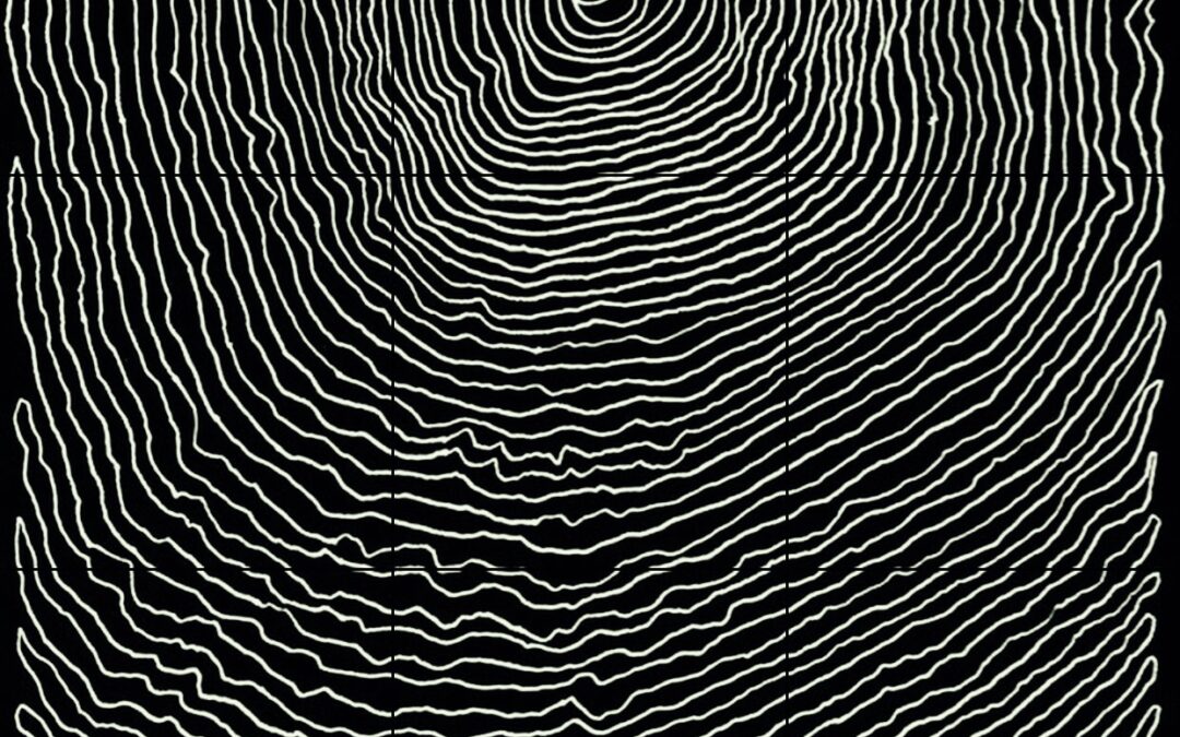 Premonition of a tumultuous year…. 