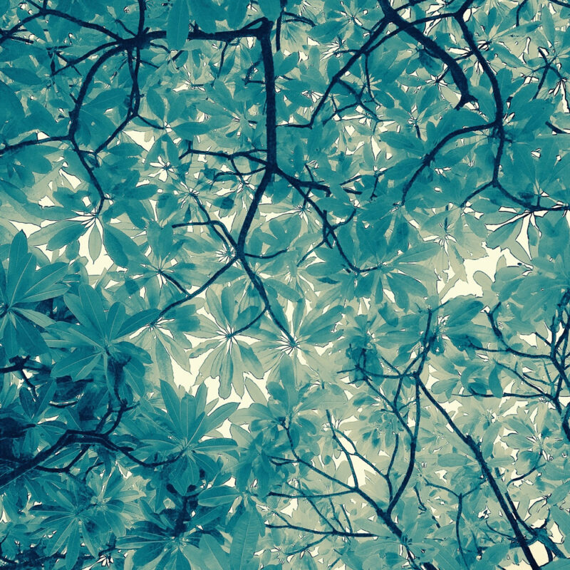 Fractal Leaves in blue-yellow tint